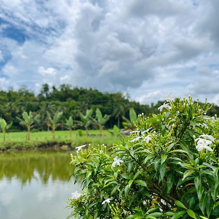 Jazz Ferme Inn Batuan Bohol Eksteriør bilde