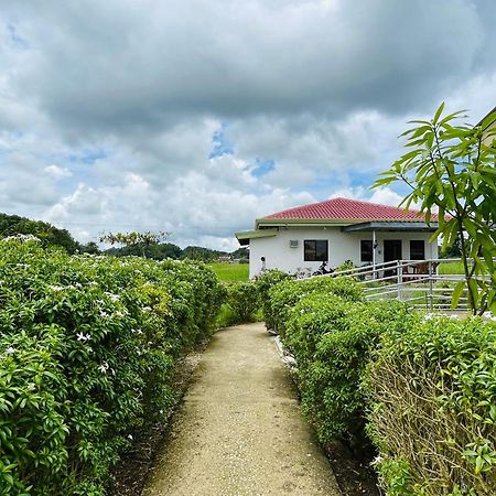 Jazz Ferme Inn Batuan Bohol Eksteriør bilde