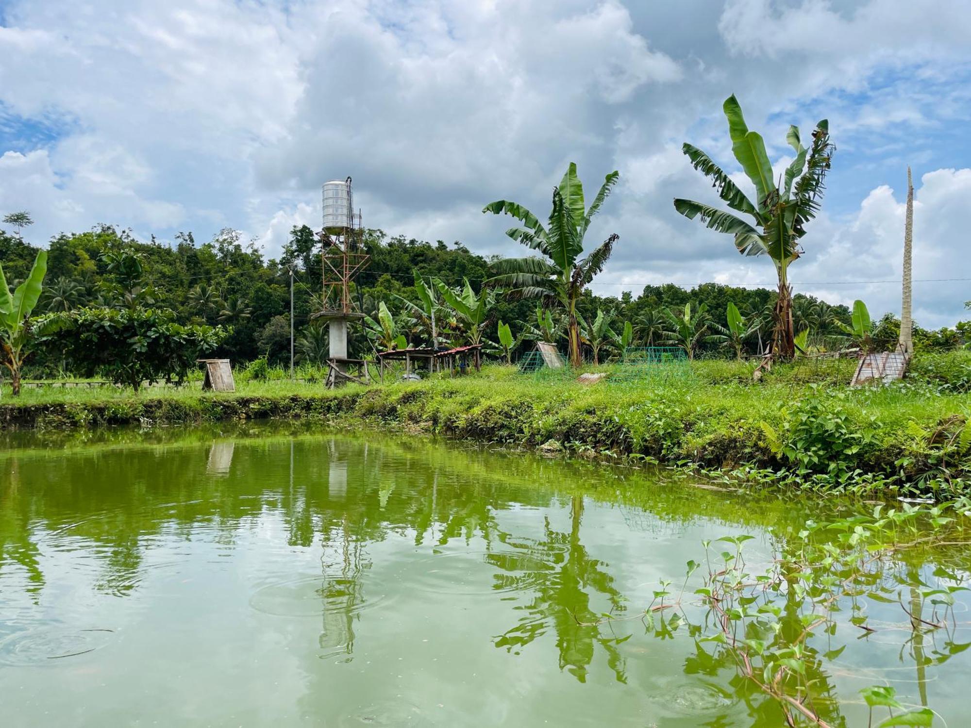 Jazz Ferme Inn Batuan Bohol Eksteriør bilde