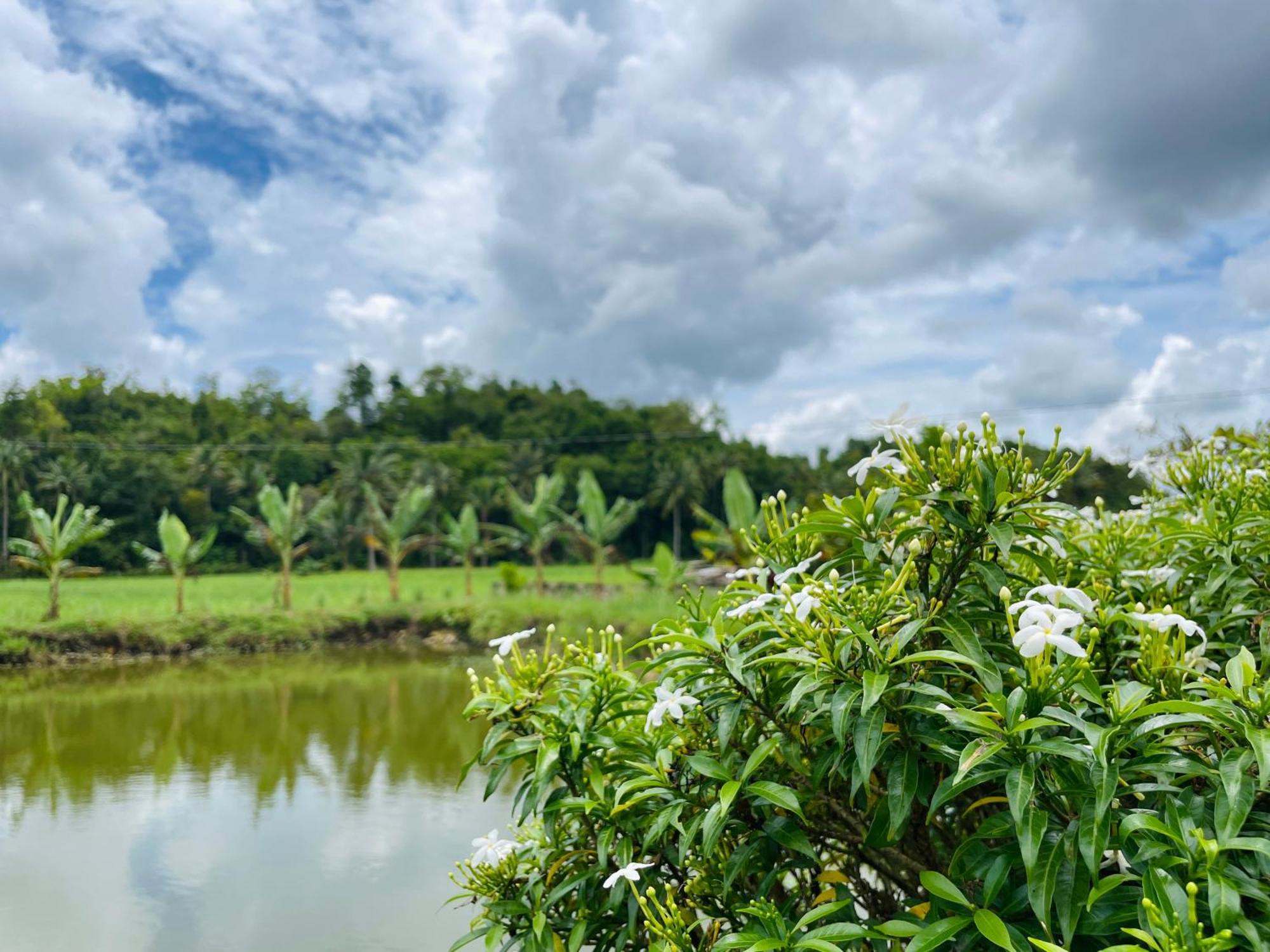Jazz Ferme Inn Batuan Bohol Eksteriør bilde