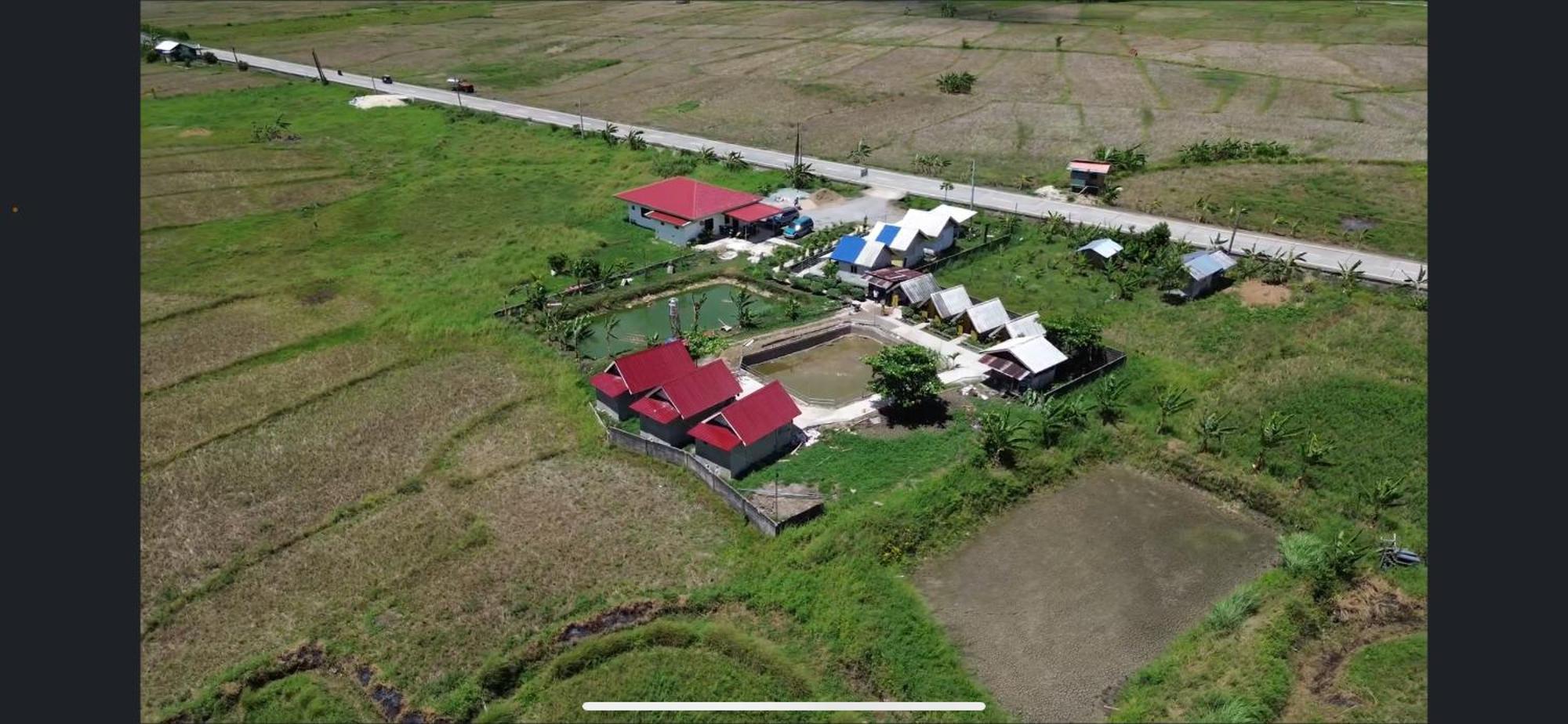 Jazz Ferme Inn Batuan Bohol Eksteriør bilde